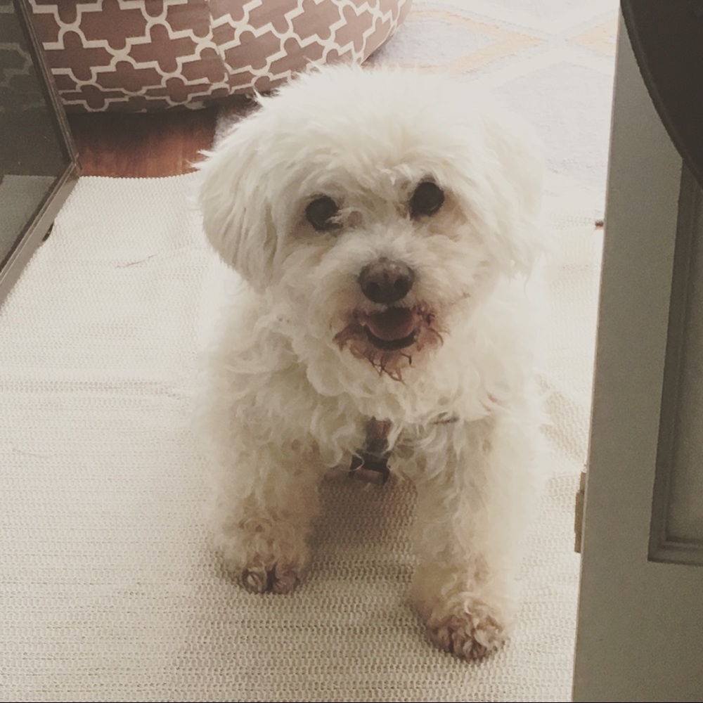 Meet your Posher, Jamie